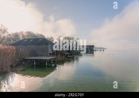 Blick von der Anlegestelle in Percha zu den Bootshäusern am Starnberger See im Süden in Richtung Berg, Starnberg, Bayern, Deutschland. Stockfoto