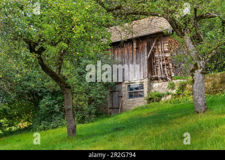 Alte Hütte in Huglfing, Oberbayern, Bayern, Deutschland Stockfoto
