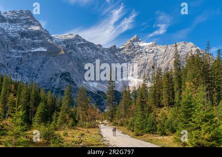 Auf dem Weg zum Kleinen Ahornboden mit Blick auf die Birkkarspitze, Hinterriß, Karwendel, Tirol, Österreich Stockfoto