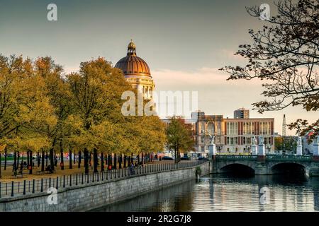 Berliner Stadtpalast, Lustgarten, Spree, Herbst, Berlin, Deutschland Stockfoto