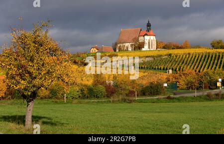Maria auf dem Weinberg in der Nähe von Volkach am Main, Niederfrankien, Bayern, Deutschland Stockfoto