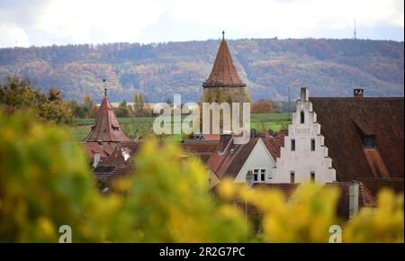 Prichsenstadt mit Weinfeld am Steigerwald, Niederfrankreich, Bayern, Deutschland Stockfoto