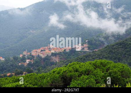 Poggio unter Monte Capanne, West Elba, Toscana, Italien Stockfoto