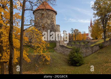 Straße zur Burg Cesis im Herbst, Lettland, baltische Staaten. Gelbes Laub. Stockfoto