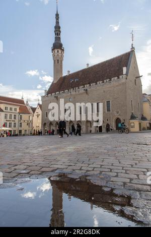 Tallinns Rathausplatz. Pfütze im Vordergrund. Reflexion. Estland, Baltische Staaten. Stockfoto