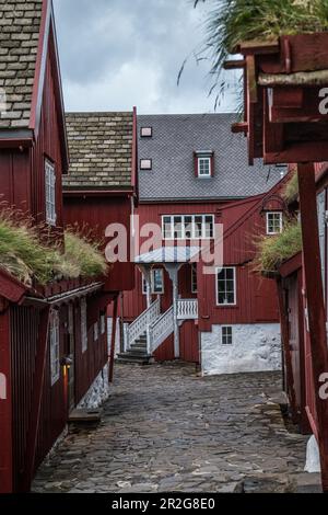 Gasse mit roten Holzhäusern. Tinganes, Torhavn, Streymoy, Färöer Stockfoto