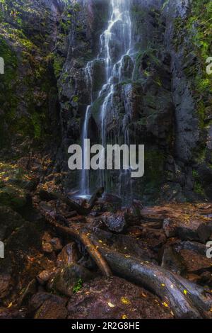 Burgbach-Wasserfall, Bad Rippoldsau-Schapbach, Baden-Würtenberg, Deutschland, Schwarzwald. Baumstumpf im Vordergrund. Stockfoto