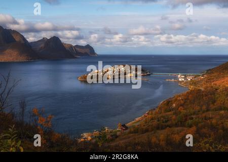 Blick auf die Insel Husoy im Fjord, Senja, Norwegen. Herbstfarben Stockfoto