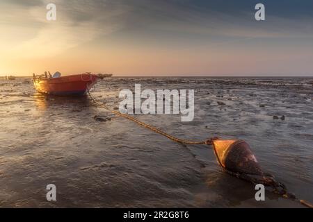 Kleines Fischerboot bei der Boje in The Watt. Ist ausgetrocknet. Waddenmeer, Wilhelmshaven, Niedersachsen, Deutschland. Stockfoto