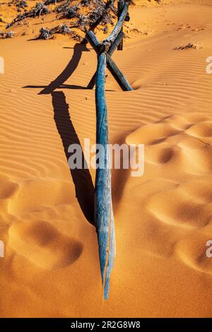 Verwitterter Wermut-Ranch-Zaun; Coral Pink Sand Dunes State Park; Utah; USA Stockfoto