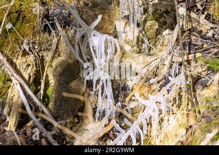 Eiszapfen auf Zweigen eines kleinen Wasserlaufs bei Fischbachau in Oberbayern Stockfoto