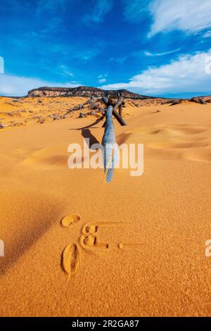 Verwitterter Wermut-Ranch-Zaun; Coral Pink Sand Dunes State Park; Utah; USA Stockfoto