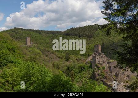 Oberburg und Niederburg Manderscheid, Niedermanderscheid, Rheinland-Pfalz. Vordergrund der Bäume. Stockfoto