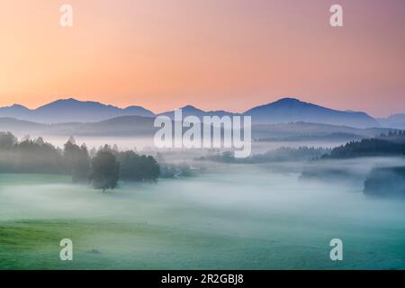 Morgennebel in der Nähe des Riegsees mit Blick auf den Jochberg (1.565 m), Oberbayern, Bayern, Deutschland Stockfoto