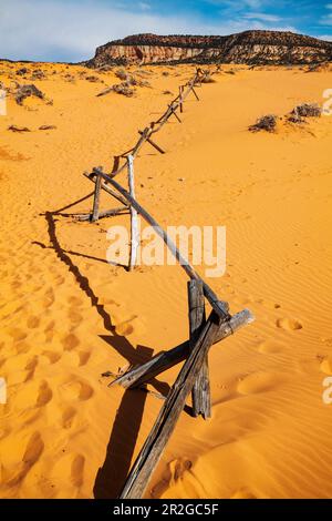 Verwitterter Wermut-Ranch-Zaun; Coral Pink Sand Dunes State Park; Utah; USA Stockfoto