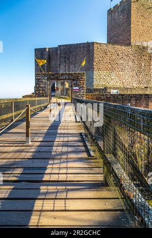 Burgruinen Landeck im Pfalzwald, Klingenmünster, Südweinstraße, Rheinland-Pfalz, Deutschland, Europa Stockfoto