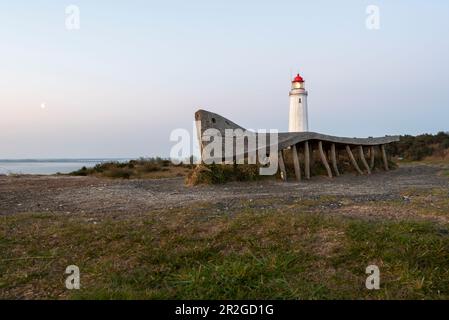 Leuchtturm Dornbusch am Schluckwieksberg, links am Himmel der Mond, Insel Hiddensee, Mecklenburg-Vorpommern, Deutschland Stockfoto