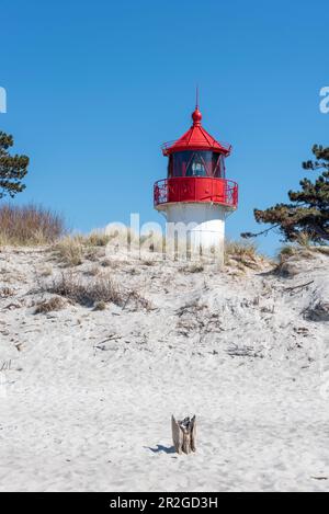 Leuchtturm von Gellen, Nationalpark Lagunenregion Westpommern, Insel Hiddensee, Mecklenburg-Vorpommern, Deutschland Stockfoto