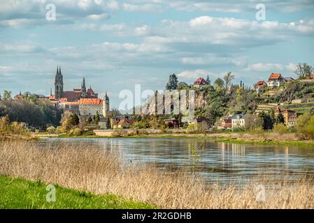 Blick auf Meissen vom Elberadweg zwischen Dresden und Meissen am linken Elbufer, Sachsen, Deutschland Stockfoto