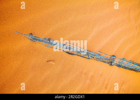 Verwitterter Wermut-Ranch-Zaun; Coral Pink Sand Dunes State Park; Utah; USA Stockfoto