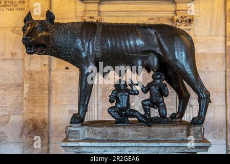 Kapitolinischer Wolf im Kapitolinischen Museum, Palazzo dei Conservatori, Rom, Latium, Italien, Europa Stockfoto