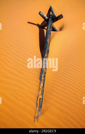 Verwitterter Wermut-Ranch-Zaun; Coral Pink Sand Dunes State Park; Utah; USA Stockfoto