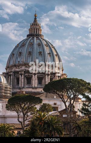 Vatikanische Museen, Rom, Latium, Italien, Europa Stockfoto