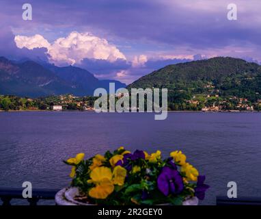 Blick vom Ufer in Cadenabbia auf den Comer See und die Bellagio-Halbinsel, Provinz Como, Lombardei, Italien Stockfoto