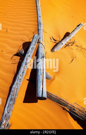 Verwitterter Wermut-Ranch-Zaun; Coral Pink Sand Dunes State Park; Utah; USA Stockfoto