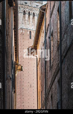 Blick durch die Gasse zum Torre del Mangia Turm, Palazzo Pubblico Rathaus, Siena, Toskana, Italien, Europa Stockfoto