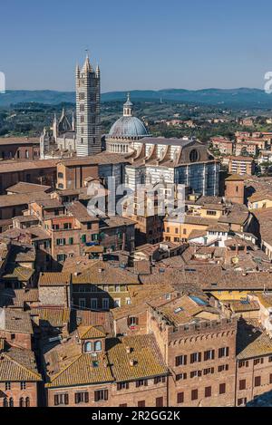 Blick auf die Kathedrale von Siena vom Turm Torre del Mangia, der Toskana, Italien, Europa Stockfoto