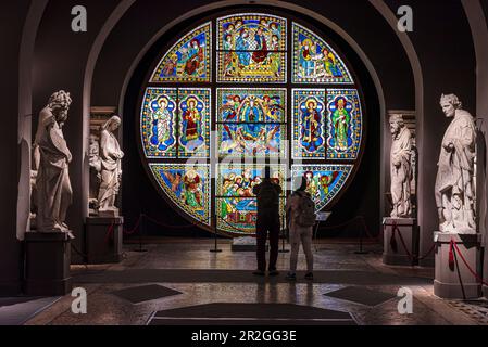 Menschen vor rundem Fenster mit Statuen, Kathedrale Santa Maria Assunta von innen, Siena, Toskana, Italien, Europa Stockfoto