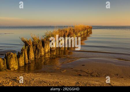 Buhlen an der Ostseeküste nahe Uckermünde bei Sonnenaufgang. Ostsee, Stockfoto