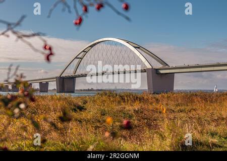 Blick auf die Fehmarn Sound Bridge. Unscharf im Vordergrund. Fehmarn, Ostsee, Ostholstein, Schleswig-Holstein, Deutschland, Europa Stockfoto