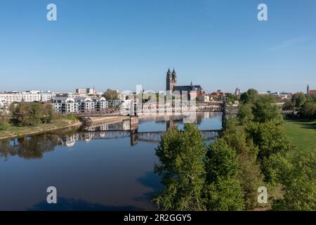 Magdeburger Dom, historische Liftbrücke davor, moderne Wohngebäude an der Elbe, Magdeburg, Sachsen-Anhalt, Deutschland Stockfoto