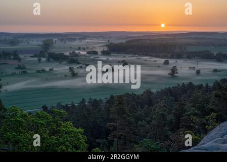 Sonnenaufgang mit Morgennebel im Teufelsmauer, Harz, Timmenrode, Sachsen-Anhalt, Deutschland Stockfoto