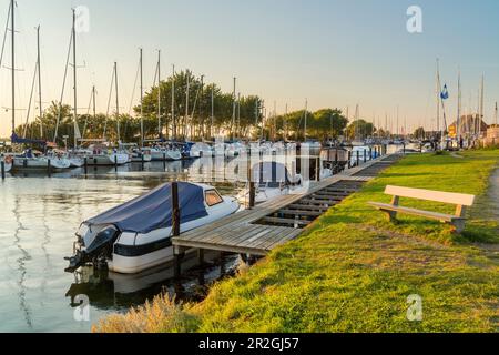 Hafen von Orth, Fehmarn, Schleswig-Holstein, Deutschland Stockfoto