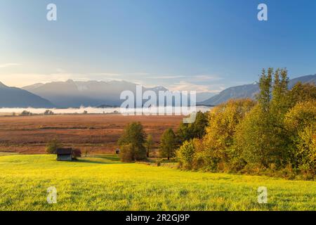 Blick über die Murnauer Moos, Murnau, Oberbayern, Bayern, Deutschland Stockfoto