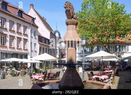 Marktplatz mit Springbrunnen und Cafés in Bad Bergzabern, Rheinland-Pfalz, Deutschland Stockfoto