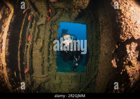 Taucher auf dem Heck des Maldive Victory Wreck, Hulhule, North Male Atoll, Malediven Stockfoto