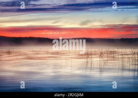 Herbststimmung, Nebel am Starnberger See, Bernried, Deutschland Stockfoto