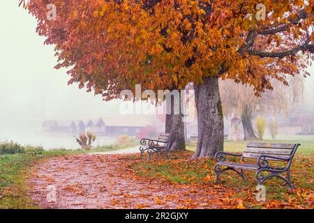 Brahmspromenade Tutzing, Herbststimmung, Deutschland Stockfoto