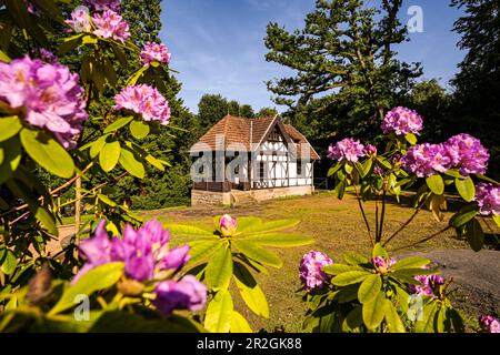 Playhouse von Bertha und Barbara Krupp, Villa Hügel, Essen-Bredeney, Nordrhein-Westfalen, Deutschland Stockfoto