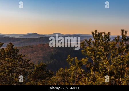 Blick auf den Pfalzwald vom Weißen Felsen, Klingenmünster, südliche Weinstraße, Rheinland-Pfalz, Deutschland, Europa Stockfoto