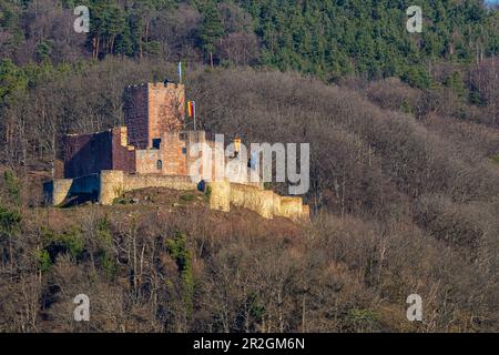 Blick auf Schloss Landeck, Klingenmünster, südliche Weinstraße, Pfalz, Rheinland-Pfalz, Deutschland, Europa Stockfoto