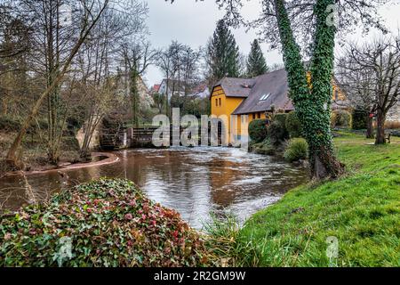 Blick auf Lauter und Wassermühle, Wissenbourg, Elsass, Bas Rhine, Grand Est, Frankreich, Europa Stockfoto