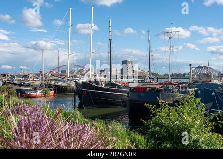 Hausboote in Schellingwouderdijk, Amsterdam, Nordholland, Niederlande Stockfoto