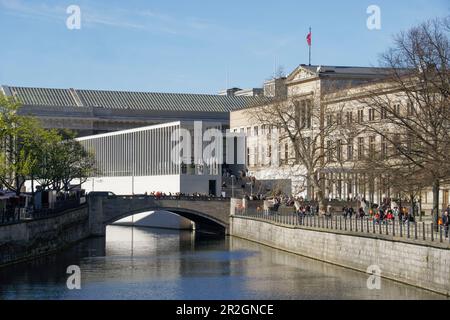 James Simon Gallery, Museumsinsel, Berlin-Mitte Stockfoto