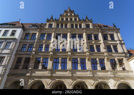 Neues Rathaus am Untermarkt, Verwaltungsgebäude, Fassade, Altstadt, Goerlitz, Sachsen, Deutschland Stockfoto