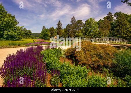 Malerblick in den Kurgärten von Bad Pyrmont, Niedersachsen Stockfoto